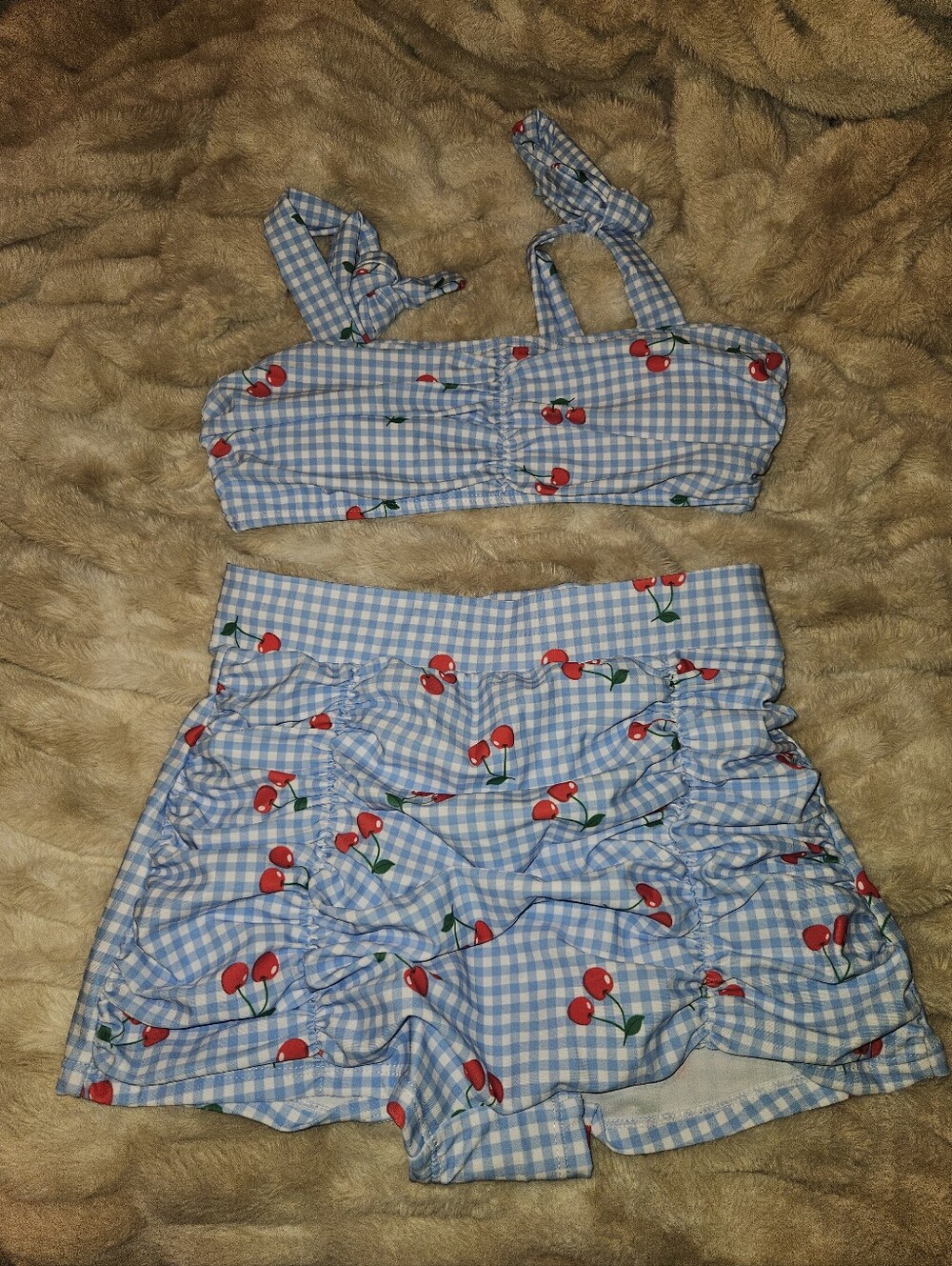 Blue Gingham Cherry Print Women's Bikini Set